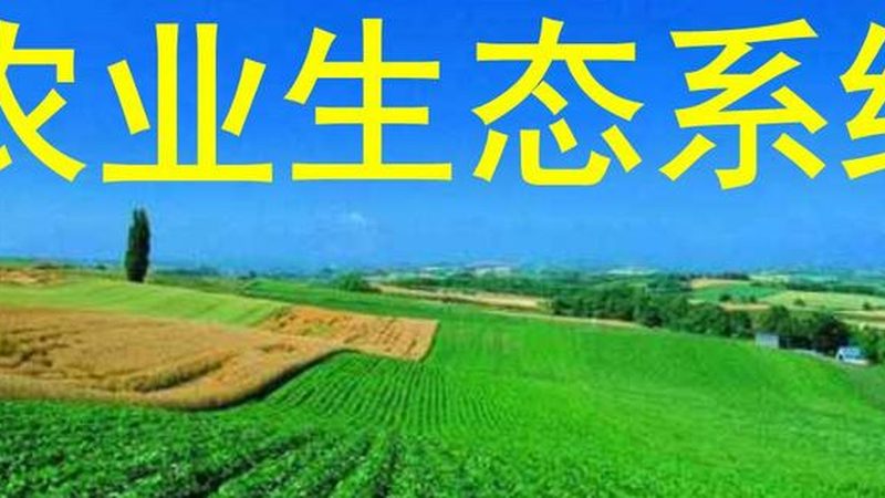 揭秘粮食种植公司排名背后的逻辑