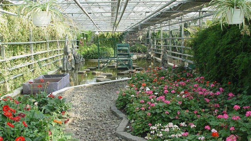 温室大棚温湿度精准调控，农业种植的“智慧守护”**