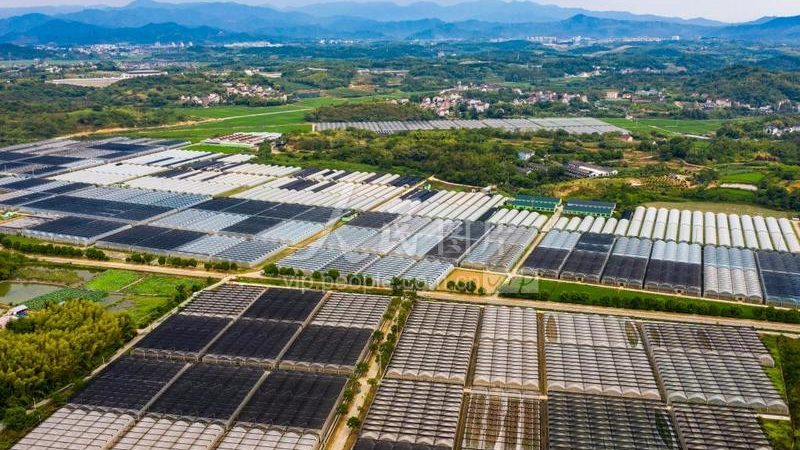 水培水果种植设备：价格与参数解析