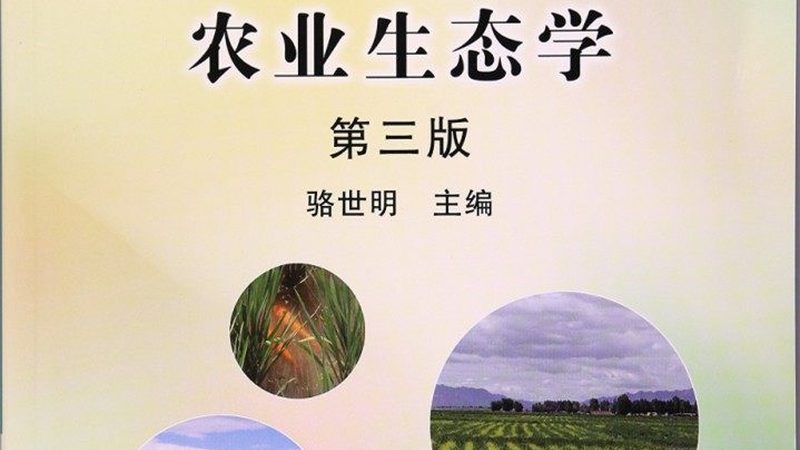 阳台水果盆栽，如何搭配出丰收美景？**