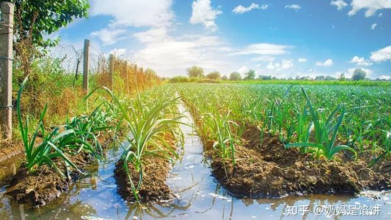 生鲜配送车尺寸参数