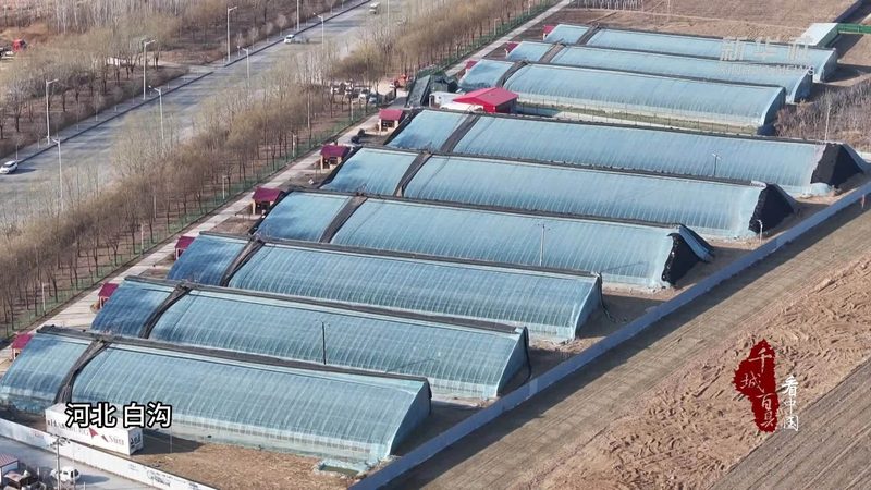 种植技术书籍电子版下载