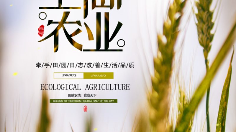 农产品批发商进货物流降本增效三步走
